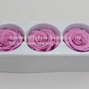 Preserved Rose Heads Look Like Artificial Flowers? It′s 100% Real! thumbnail-1