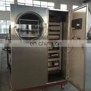 New-type Fruits and Vegetables Pint-sized Lab Freeze Drying Equipment thumbnail-1