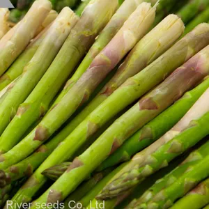 80pcs Asparagus Seeds Vegetable Garden Asparagus Sparrow Grass Asparagus Officinalis Seeds for Planting thumbnail-3
