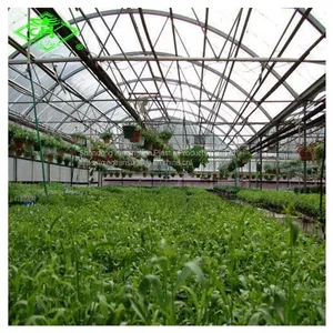 Hot Sale UV-protection Plastic Sheed 3-5 Layers Clear Anti-fog Plastic Film Covering Greenhouse thumbnail-4