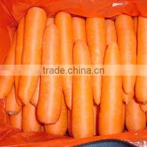 Supplier of Fresh Carrot thumbnail-1