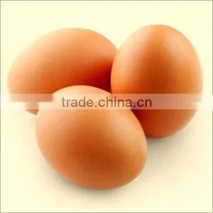 VIET NAM Fresh Brown Chicken Eggs thumbnail-2