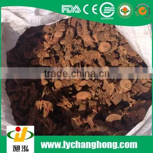 2015 New Crop High Quality Galangal thumbnail-2