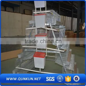 Egg Production Project Poultry Farming Equipment H Type Design Layer Chicken Cage for Sale thumbnail-4