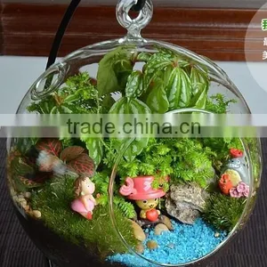 Yasit Different Types Glass Vase/ Glass Terrarium,clear Glass Festivals Decoration,clear Glass Vase thumbnail-5