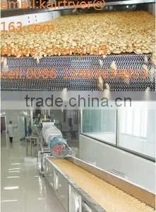 Oil Curtain Fry Machinary/fried Peanut Making Machine thumbnail-5