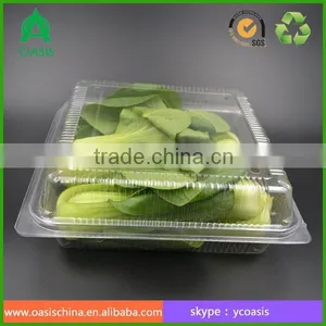 Clear Palstic Clamshell Boxes for Vegetable Packing Pet thumbnail-3