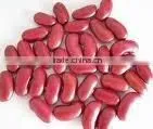 Red Kidney Beans thumbnail-1