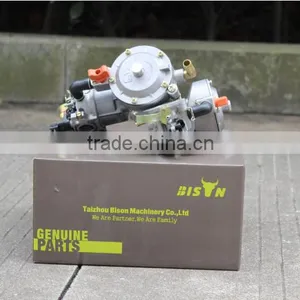 BISON(CHINA) Biogas, LPG, Natural Gas Conversion Kit thumbnail-2