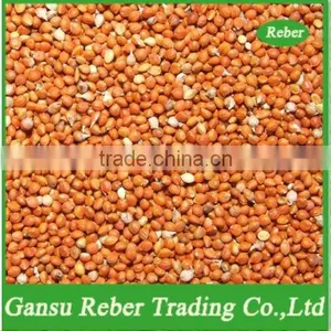 Red Millet In Husk thumbnail-1