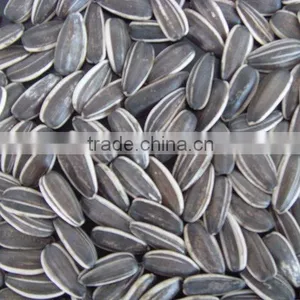 Wholesale Sunflower Seeds 5009 for Human Consumption thumbnail-6