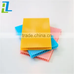Top Quality UV Protection Twin Wall Hollow Polycarbonate Sheets Anti -drop thumbnail-5