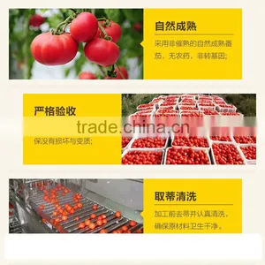 Made in China Ketchup Export Saudi Arabia Canned Tomato Sauce 70g 198g Tomato Paste thumbnail-6