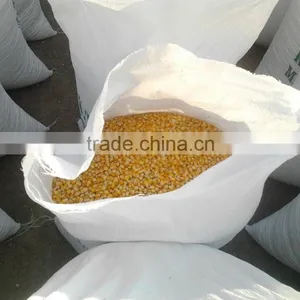 Indian Yellow Maize thumbnail-4