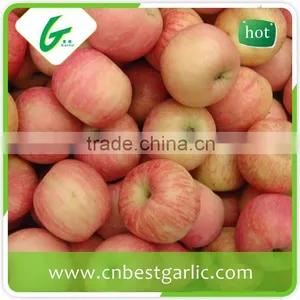 Fresh Fuji Apple With Good Quality thumbnail-2