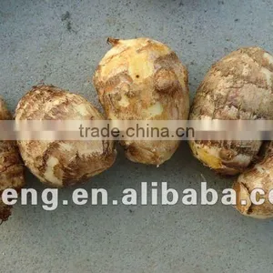 2014 New Crop China Fresh Taro Low Price High Quality thumbnail-1