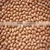 Peanuts in Shell thumbnail-5