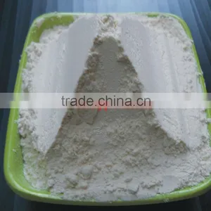 Dehydrated Onion Powder thumbnail-3