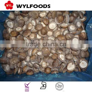 High Quality Frozen Shiitake Mushroom thumbnail-2