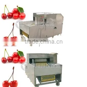 2016 Industrial Hot-sale Plum Stoner Processing Machine thumbnail-6