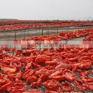 Natural Red Dried Tomato Wholesale Dehydrated thumbnail-2