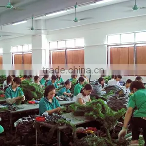 Greenhouse Farm for Sale 7090 Evaporative Cooler Pad Malaysia thumbnail-4