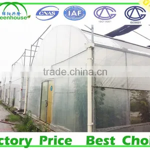 High Quality Plastic Film Commercial Greenhouse for Sale thumbnail-2