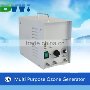 1g Smart Home Air Purifier Portable Car Ionizer Air Purifier 220v Air Ozone Generator Machine thumbnail-1