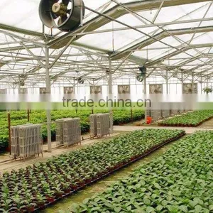 Bayer Polycarbonate Greenhouse Plastic Sheet,Plastic Roof Panels,Transparent Cover Sheets,Hard Clear Plastic Sheet thumbnail-1