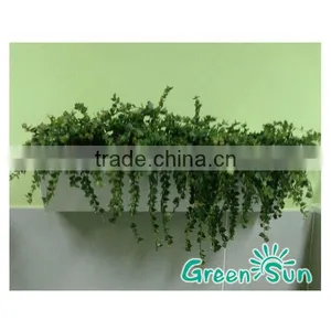 2014 New Product Vertical Flower Wall for Gift,vertical Garden Containers,flowerpot With Hanger thumbnail-1