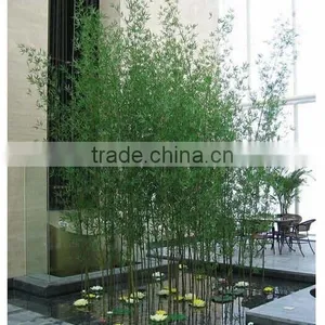 SJ74451 Artificial Bamboo Poles,outdoor Artificial Bamboo,artificial Bamboo With Leaves thumbnail-1