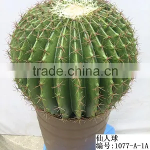 Artificial Outdoor and Indoor Cactus Tree and Plants for Decoration thumbnail-4