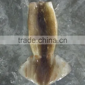 Zhengyuan Frozen Illex Squid Tube thumbnail-6