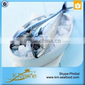 Frozen Whole Round Mackerel thumbnail-1