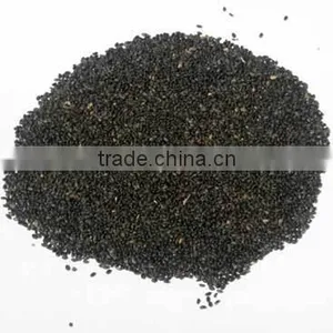 Basil Seeds thumbnail-1