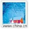 Wall Coating thumbnail-1