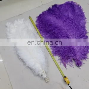 Wholesale South Africa Ostrich Feathers for Decoration Wedding Ostrich Feathers thumbnail-3