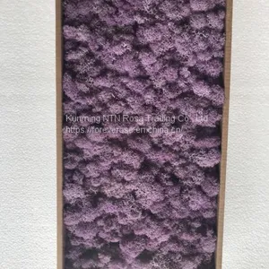 Stabilized Moss for Floral Decoration in Catering Business thumbnail-1