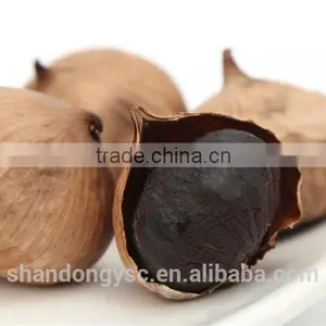 China Garlic Factory Offers Best Natural Black Garlic Price thumbnail-6