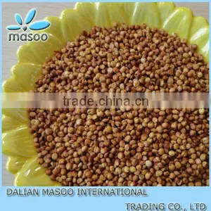 Chinese Red & White Sorghum Groat For Sale A Quality thumbnail-1