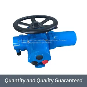 Bernard Outdoor Aluminum Alloy Integrated DZW-250 Multi-turn Electric Actuator thumbnail-1