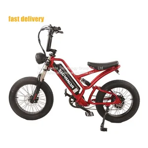 Hot Selling E-bike 20 Inch Electric Bicycle Wholesale Wholesale Electric Bicycles thumbnail-1