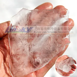 20Ton/24hr Plate Ice Machine thumbnail-1