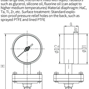 Flange Type Pressure Gauge DN25 DN50 1.6MPa， thumbnail-5