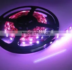 Epoxy Coat + PE Cannula / Waterproof 150pcs 5050 SMD Flexible Led Strip thumbnail-1