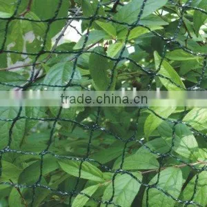 JiangSu PE Anti-insect Net thumbnail-1