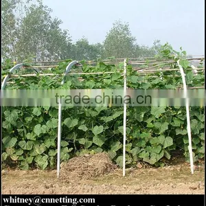 HDPE High Quality Cucumber Yam Support Plant Trellis Net thumbnail-1