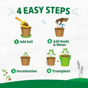 Disposable Jiffy Pot for Seedling Transplant Peat Pot 40 Cells per Flat thumbnail-2