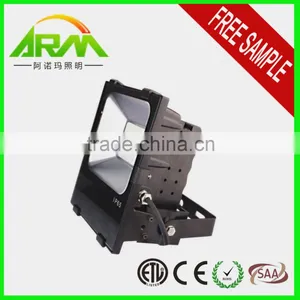 Factory Price 50w Led Flood Light With CE ETL thumbnail-6