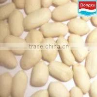 Blanched Peanut Kernels thumbnail-1